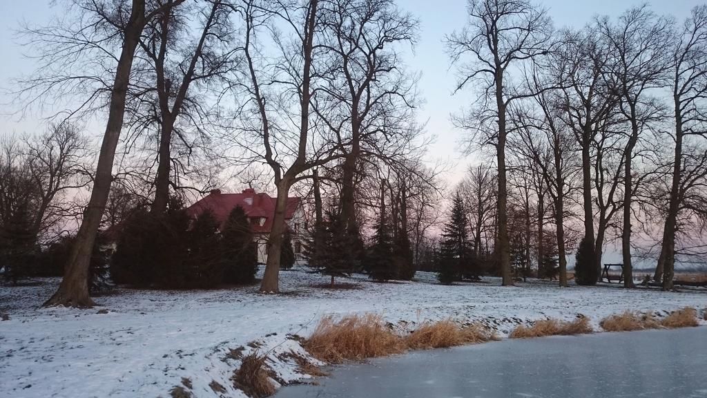 Dwor Osmolice Bed & Breakfast Bialki Dolne Luaran gambar