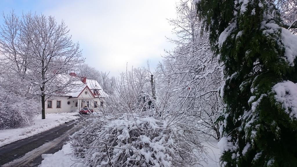Dwor Osmolice Bed & Breakfast Bialki Dolne Luaran gambar
